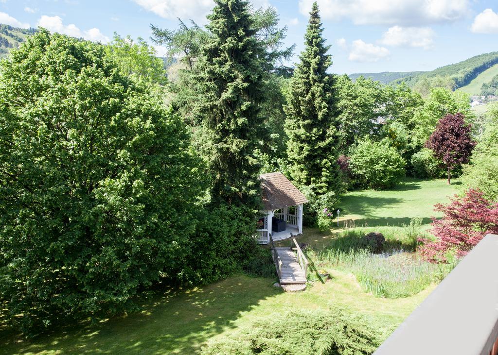 Landhaus Wiesemann Parkappartements & Dependance - Naehe Ettelsberg-Talstation Willingen Kültér fotó